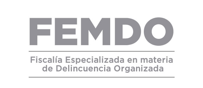 La Fiscalía Especializada en Delitos Electorales FEMDO