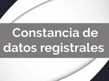 Constancia de datos registrales