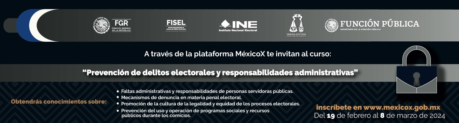 Go to Prevención de Delitos Eletorales